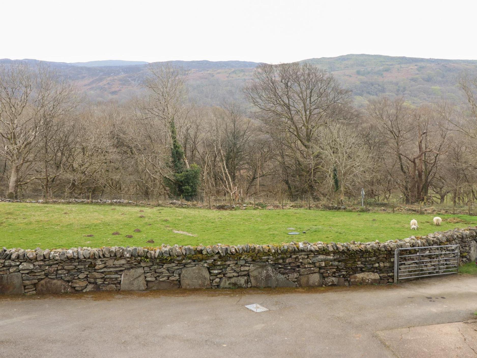 Villa Y Bwthyn à Llanbedr  Extérieur photo